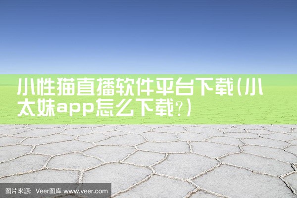 小性猫直播软件平台下载