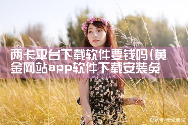 两卡平台下载软件要钱吗