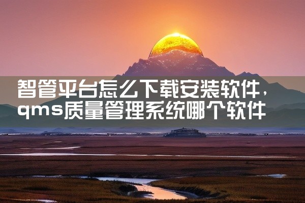 智管平台怎么下载安装软件