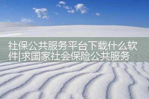 社保公共服务平台下载什么软件