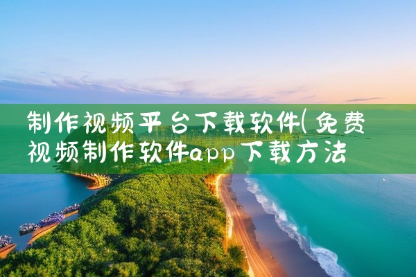 制作视频平台下载软件
