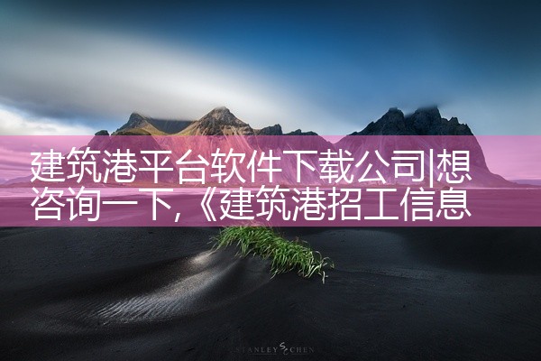 建筑港平台软件下载公司
