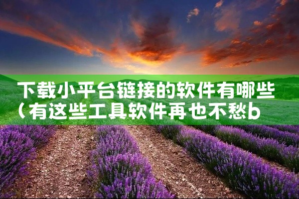 下载小平台链接的软件有哪些