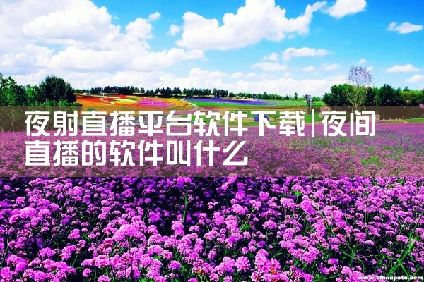 夜射直播平台软件下载