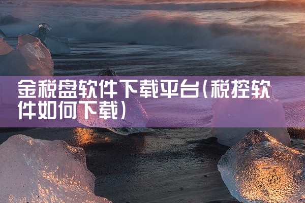 金税盘软件下载平台