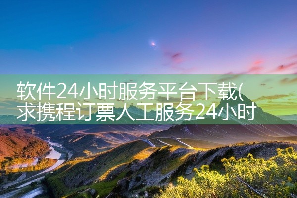 软件24小时服务平台下载