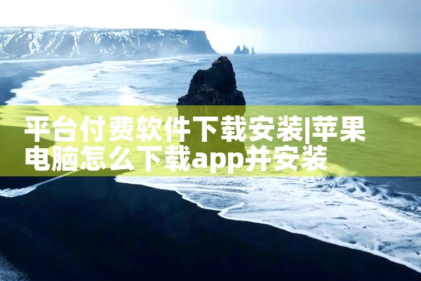 平台付费软件下载安装