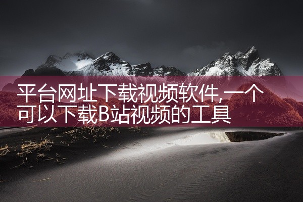 平台网址下载视频软件