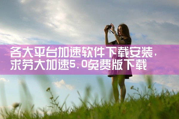 各大平台加速软件下载安装