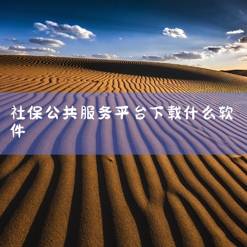 一、全国通用平台“掌上12333”该平台由人力资源和社会保障部统一建设，提供社保查询、失业登记、养老金测算等40余项全国通办服务。下载方式：官网扫码下载：访问国家社会保险公共服务平台官网，扫描页面二维|