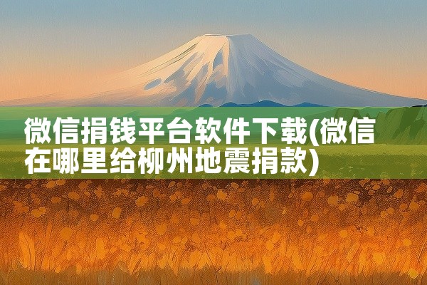 微信捐钱平台软件下载
